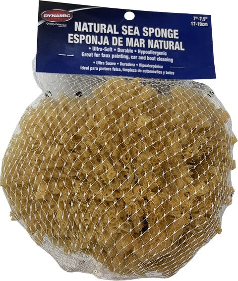 Natural Sea Sponges - 7 1/2 - 8 [SPO-SEA] : GWJ Company, Better Pricing,  Extensive Variety of Supplies & Tools for The Printer